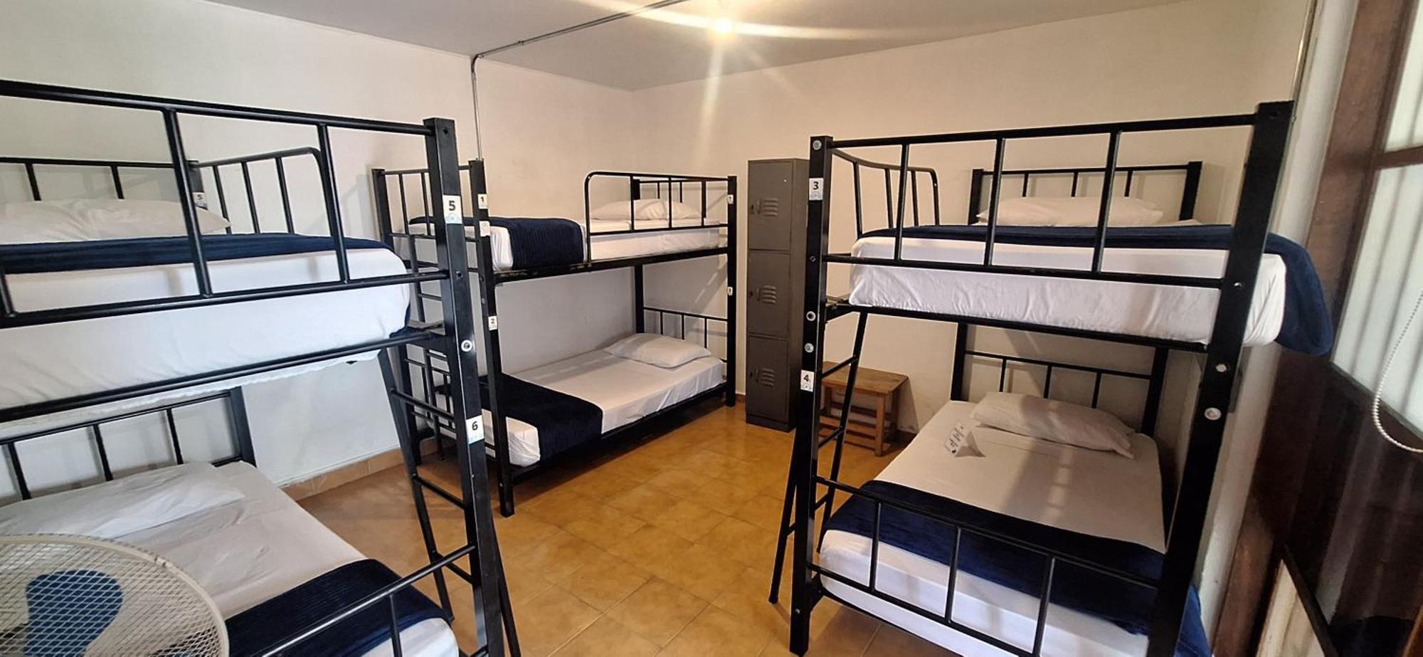 Yolo Hostel Medellín Eksteriør bilde